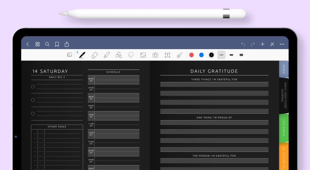 Best 90-Day Gratitude Digital Journal in Dark
